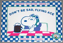 Don't Be Sad, Flying Ace