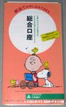 Snoopy reading over Charlie Brown's shoulder Info Packet