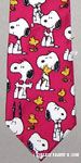 Snoopy and Woodstock poses