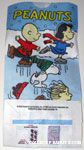 Hardee's Cool Kids Meal Bag featuring Peanuts Gang