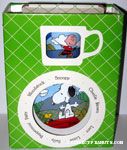 Peanuts Gang outdoor Plate, Bowl and Mug Set